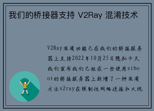 我们的桥接器支持 V2Ray 混淆技术 